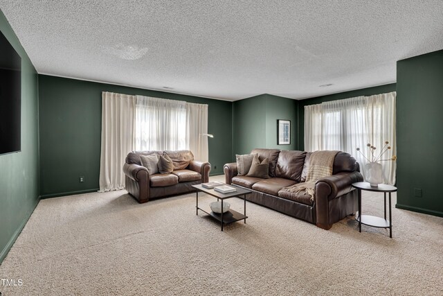 5308 Bentgrass Dr, Raleigh, NC 27610 - living room with carpet floors, plenty of natural light, and a textured ceiling