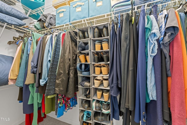 4124 Sykes St, Cary, NC 27519 - spacious closet featuring carpet flooring