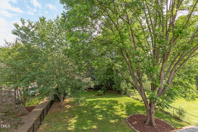 601 E Franklin St, Raleigh, NC 27604 - view of yard