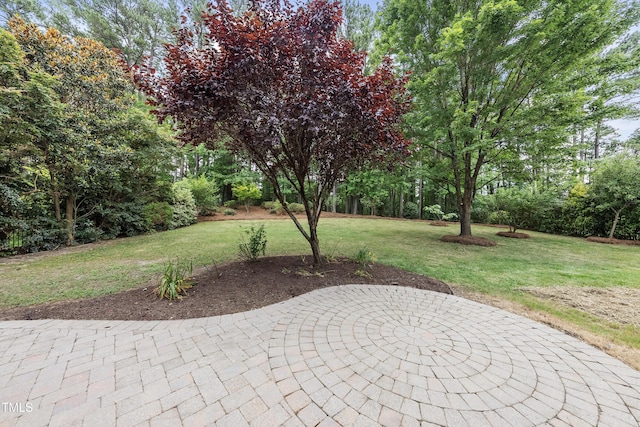 501 Ivyshaw Rd, Cary, NC 27519 - view of patio / terrace