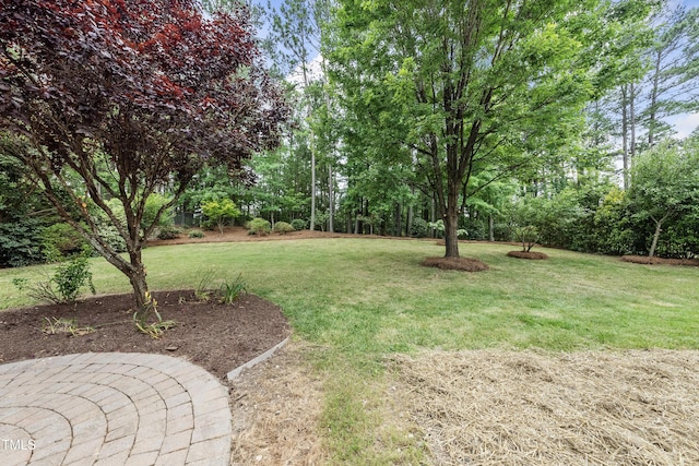 501 Ivyshaw Rd, Cary, NC 27519 - view of green lawn