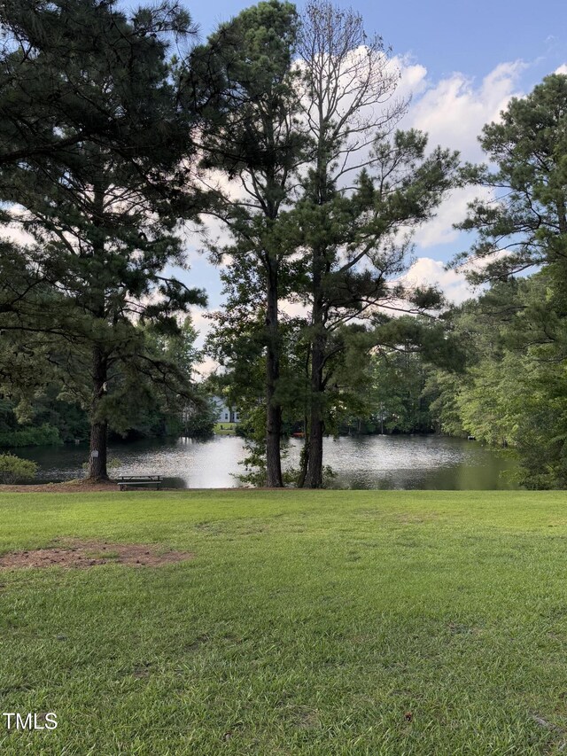 296 Gordon Farm Dr, Benson, NC 27504 - photo 31