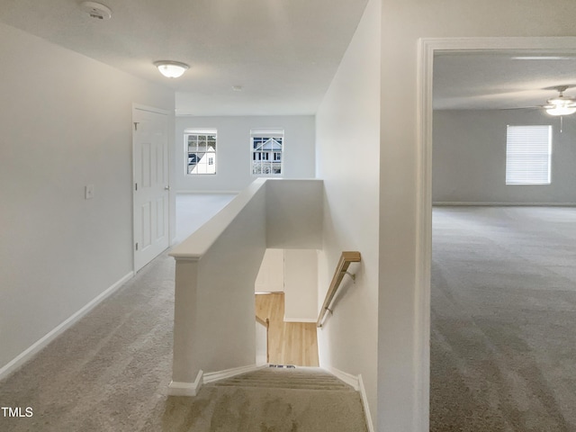 6701 Winding Arch Dr, Durham, NC 27713 - stairs featuring carpet floors and a ceiling fan