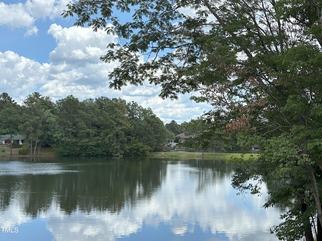 1040 Burning Tree Rd, Pinehurst, NC 28374 - water view