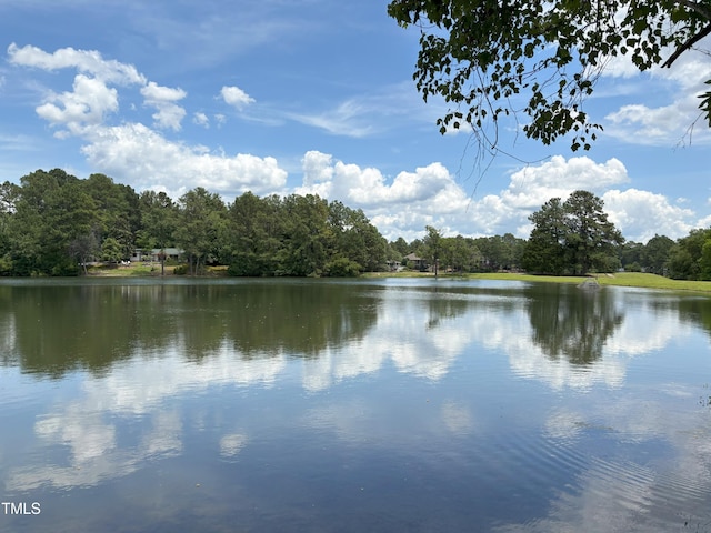 1040 Burning Tree Rd, Pinehurst, NC 28374 - water view featuring a forest