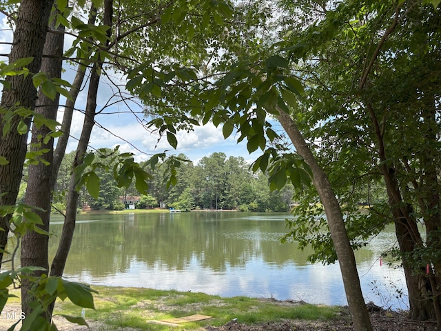 1040 Burning Tree Rd, Pinehurst, NC 28374 - water view