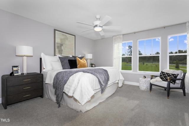 42 Channel Drop Dr, Clayton, NC 27520 - bedroom with carpet floors and a ceiling fan