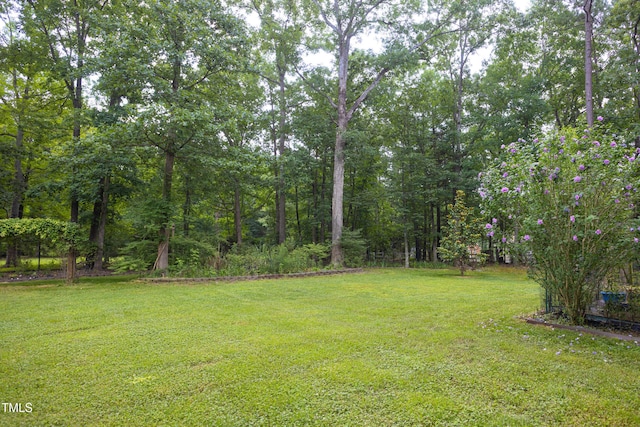 404 Denton St, Durham, NC 27713 - view of green lawn