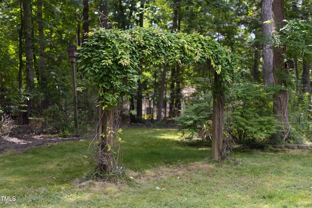 404 Denton St, Durham, NC 27713 - view of grassy yard featuring a view of trees