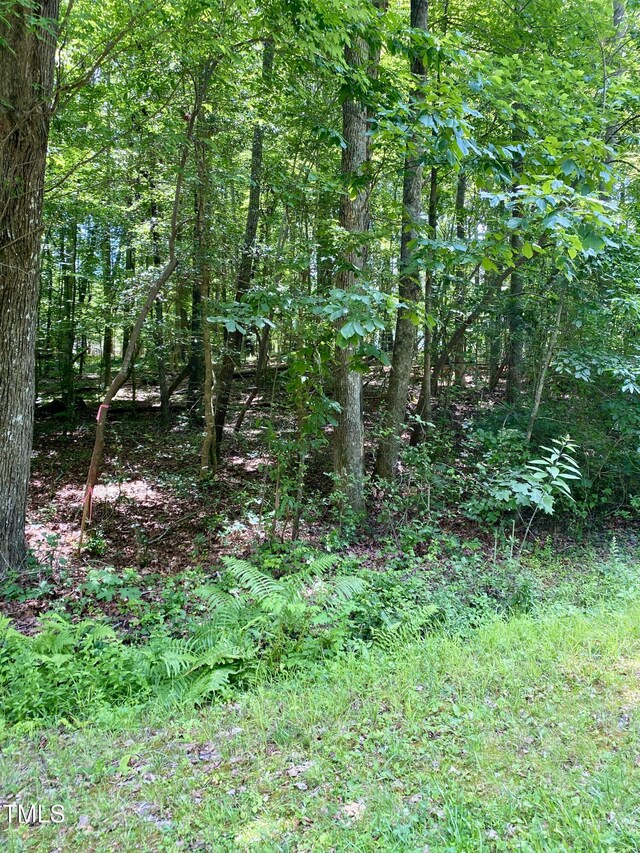 106 Cherokee Dr, Louisburg, NC 27549