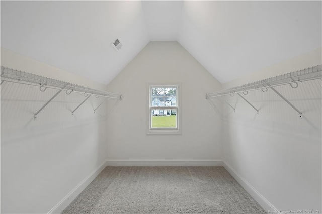 209 Nairn St, Fayetteville, NC 28311 - walk in closet with lofted ceiling and carpet flooring