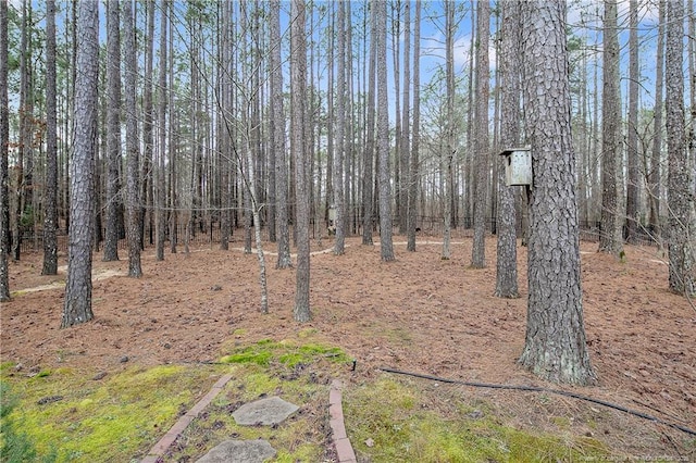 61 Fountain Park Cir, Spring Lake, NC 28390 - view of undeveloped land