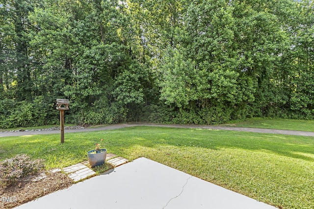 160 Chandler Springs Dr, Holly Springs, NC 27540 - view of grassy yard with a patio