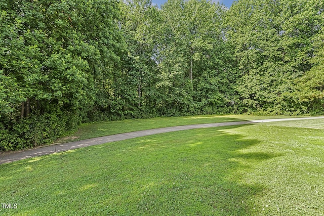 160 Chandler Springs Dr, Holly Springs, NC 27540 - view of green lawn