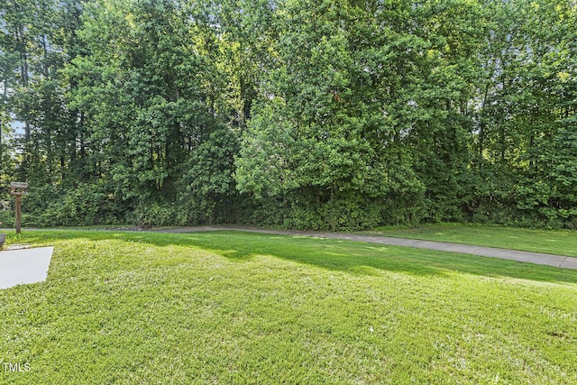 160 Chandler Springs Dr, Holly Springs, NC 27540 - view of green lawn