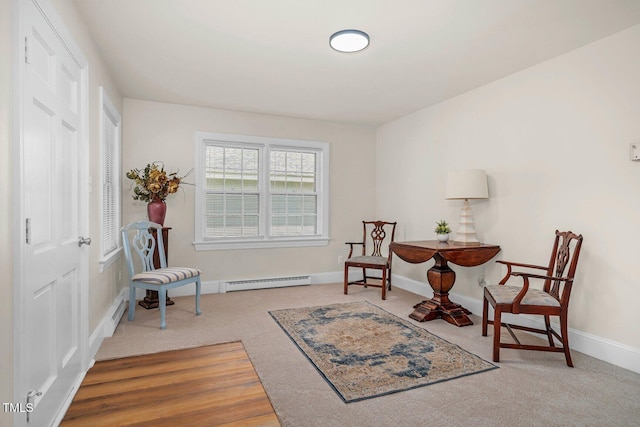 407 W Pippen St, Whitakers, NC 27891 - living area with a baseboard radiator and carpet flooring