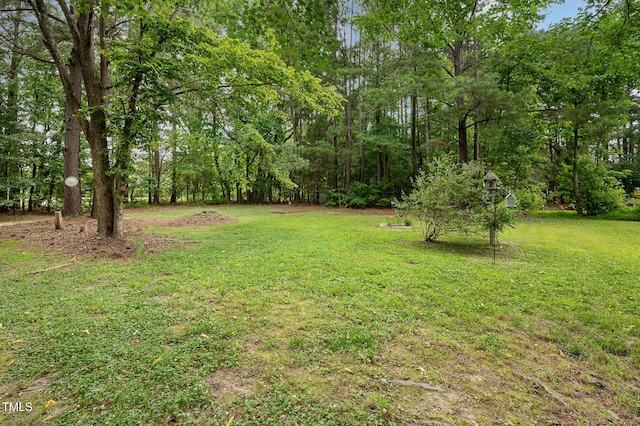 313 Teresa Dr, Rolesville, NC 27571 - photo 30