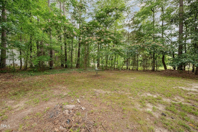313 Teresa Dr, Rolesville, NC 27571 - photo 31