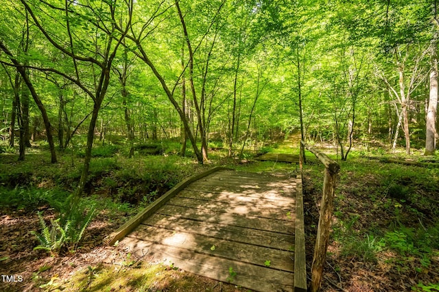 3506 Arthur Minnis Rd, Hillsborough, NC 27278 - view of community featuring a wooded view