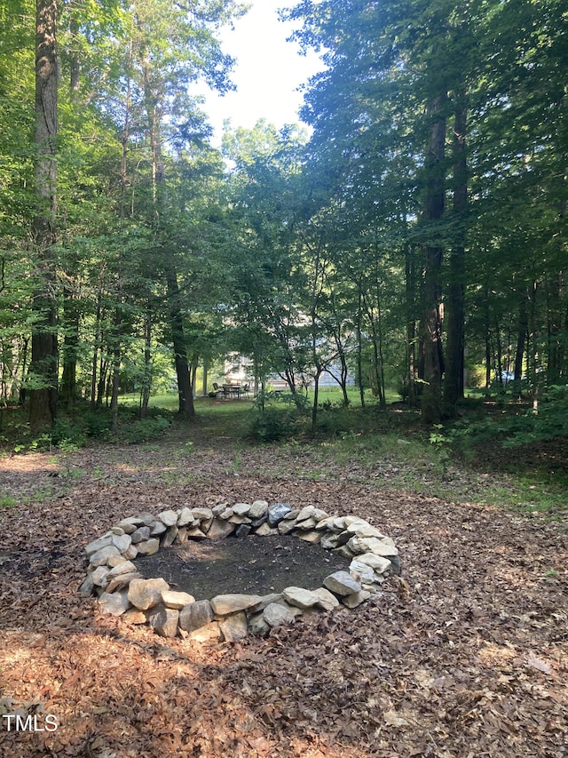 3506 Arthur Minnis Rd, Hillsborough, NC 27278 - view of yard