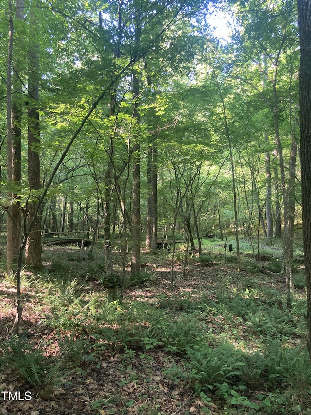 3506 Arthur Minnis Rd, Hillsborough, NC 27278 - view of wooded area