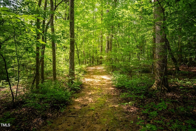3506 Arthur Minnis Rd, Hillsborough, NC 27278 - view of tree filled area