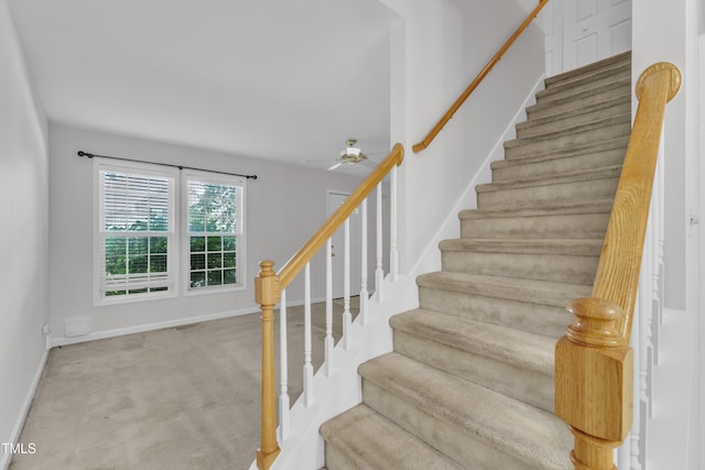 4825 Windbreak Ln, Raleigh, NC 27616 - staircase with carpet floors and a ceiling fan