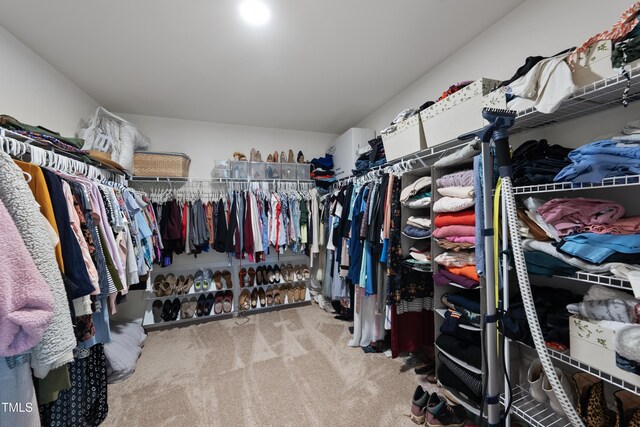433 Village Bend Dr, Fuquay Varina, NC 27526 - walk in closet with carpet floors