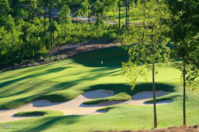 8 Pin Tail Ct, Pittsboro, NC 27312 - view of community with golf course view