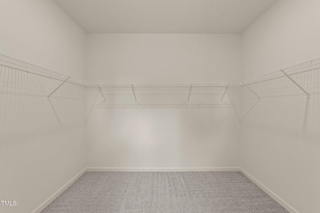 908 Adelphia Rd, Fuquay Varina, NC 27526 - walk in closet with carpet floors