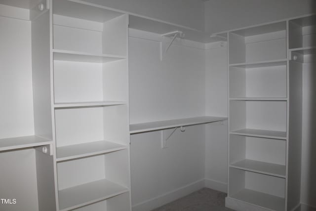 70 Basil Ct, Franklinton, NC 27525 - view of walk in closet