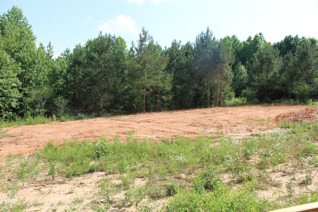 70 Basil Ct, Franklinton, NC 27525 - view of local wilderness