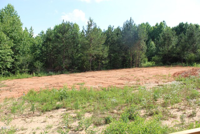 70 Basil Ct, Franklinton, NC 27525 - photo 28