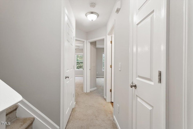 330 Gilman Ln Unit 109, Raleigh, NC 27610 - hallway featuring light colored carpet and baseboards