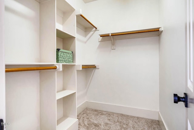1168 Great Ridge Parkway, Chapel Hill, NC 27516 - spacious closet with carpet flooring