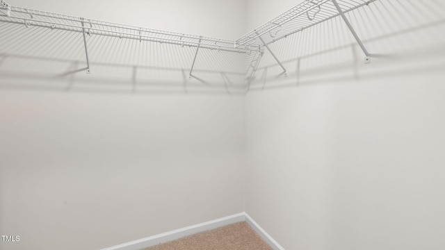 100 Grove Ln, Goldsboro, NC 27534 - walk in closet with carpet