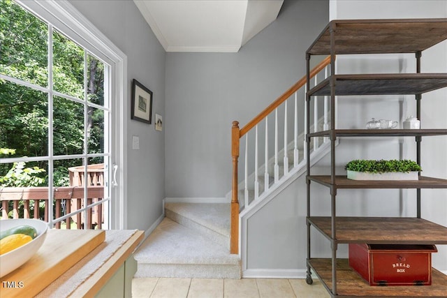 7856 Spungold St, Raleigh, NC 27617 - stairs featuring tile patterned flooring, crown molding, and carpet flooring