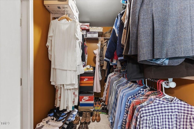 7856 Spungold St, Raleigh, NC 27617 - spacious closet with carpet