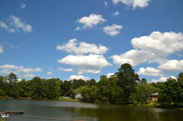 1815 Chandellay Dr, Durham, NC 27705 - water view with a forest