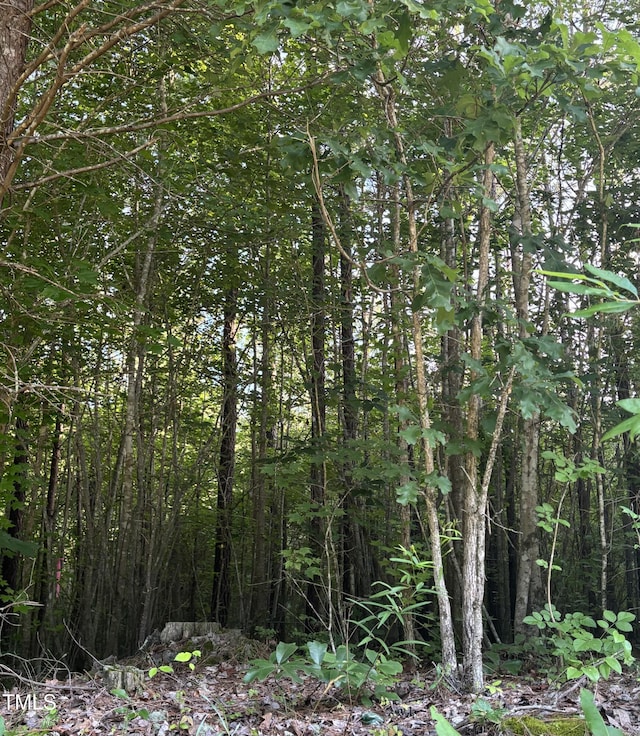 0 Little Mountain Creek Rd, Oxford, NC 27565