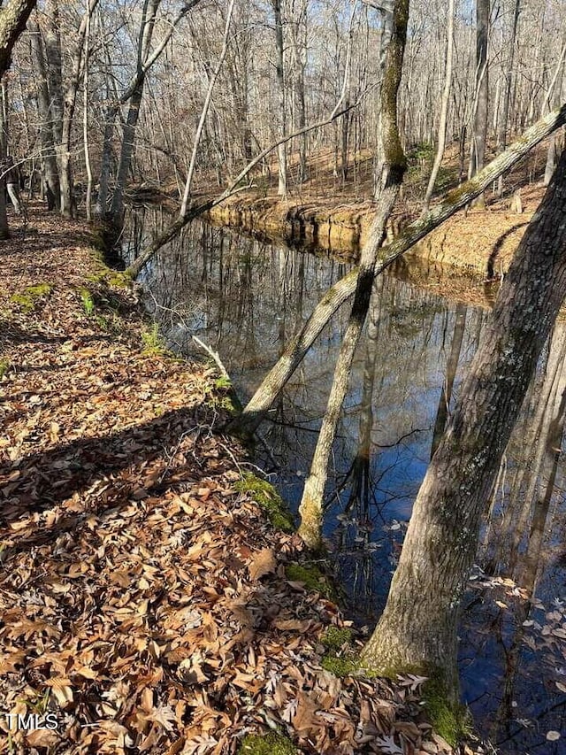 0 Little Mountain Creek Rd, Oxford, NC 27565