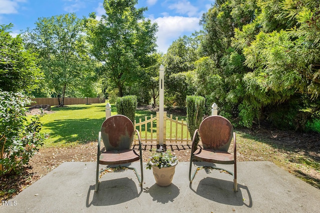 86 Basswood Cir, Willow Springs, NC 27592 - view of patio / terrace featuring view of scattered trees