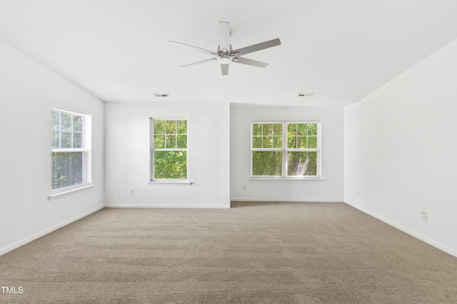 11710 Mezzanine Dr Unit 101, Raleigh, NC 27614 - carpeted empty room with healthy amount of natural light and ceiling fan