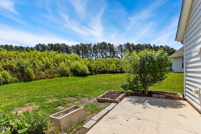 15 Canary Ct, Durham, NC 27713 - view of grassy yard with a patio