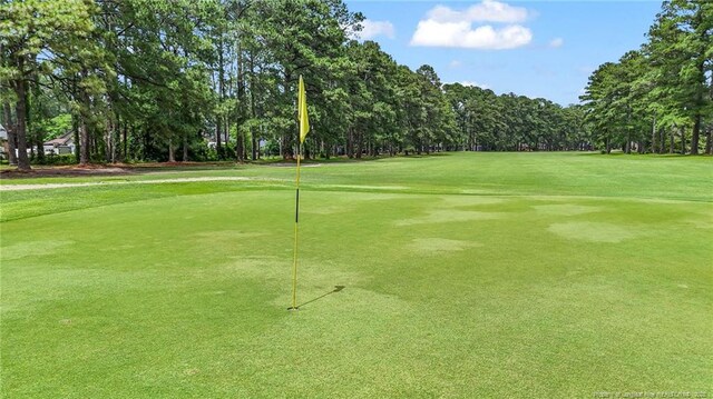 140 Bledsoe St, Hope Mills, NC 28348 - view of property's community featuring golf course view and view of scattered trees