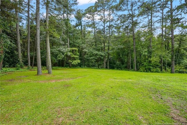 140 Bledsoe St, Hope Mills, NC 28348 - view of green lawn with a view of trees