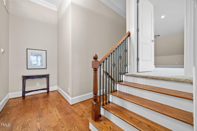 1217 Prairie Pond Cir, Raleigh, NC 27614 - photo 36