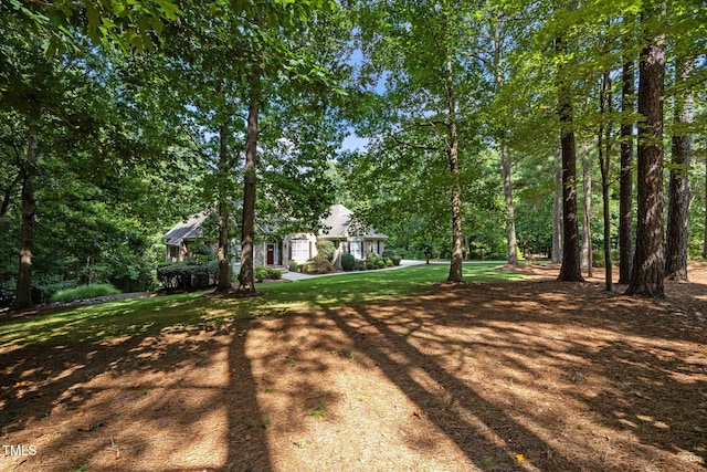 1217 Prairie Pond Cir, Raleigh, NC 27614 - photo 59