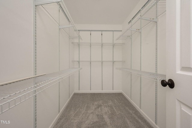 1016 Kingston Grove Dr, Cary, NC 27519 - walk in closet with light colored carpet