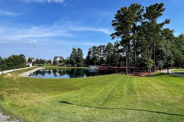 209 Stone River Dr, Wendell, NC 27591 - photo 63